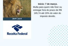 Eu vou fazer sua declaração de imposto de renda simplificada