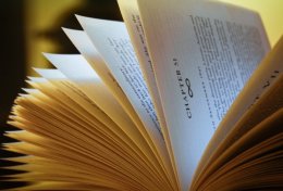 Eu vou fazer seus TRABALHOS da FACULDADE