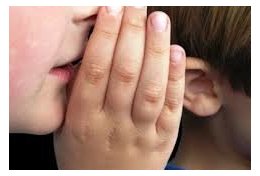 Eu vou dar os melhores conselhos