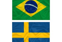 Eu vou traduzir textos/artigos do SUECO para PORTUGUÊS e vice-versa