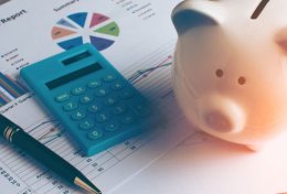 Eu vou organizar suas finanças