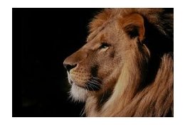 Eu vou ajudar você a fazer seu Imposto de Renda