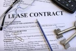 Eu vou fazer o contrato que você precisa