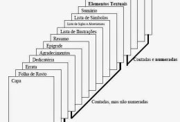 Eu vou formatar seu trabalho segundo as normas da ABNT