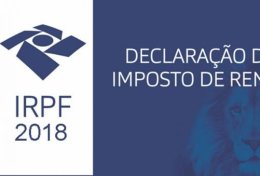 Eu vou preparar e entregar seu imposto de renda