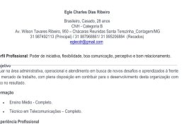 Eu vou fazer seu currículo profissional