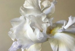 Eu vou te ajudar a conquistar pessoas