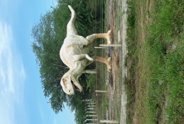 Eu vou digitar seu trabalho