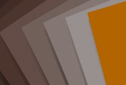 Eu vou te ajudar a organizar sua empresa