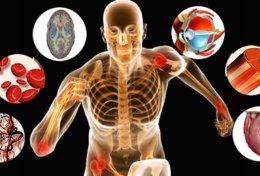 Eu vou te ensinar fisiologia humana