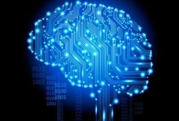 Eu vou dar Consultoria e Suporte