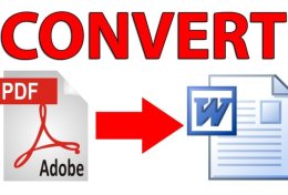 Eu vou Converter Seu Documento PDF Para o Formato Word Em um Dia