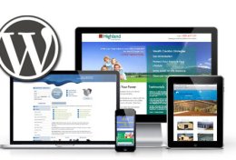 Eu vou montar seu site profissional em PHP ou Wordpress