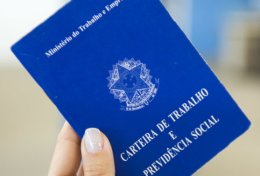 Eu vou fazer seu currículo