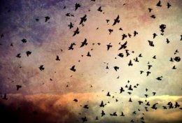 Eu vou te ajudar com o necessario