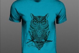 Eu vou fazer um modelo de camisa simples pra você