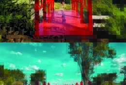 Eu vou editar vinte fotografias