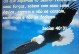 Eu vou ORGANIZAR SUA CASA