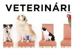 Eu vou te enviar resumos de medicina veterinaria