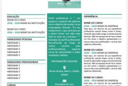 Eu vou Criar seu Curriculo e melhorá-lo
