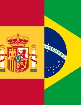 Eu vou Traduzir seus incríveis textos!