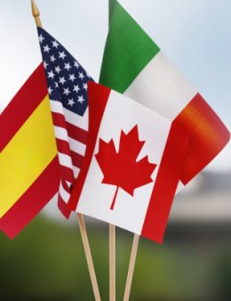 Eu vou traduzir seu texto de 1000 palavras