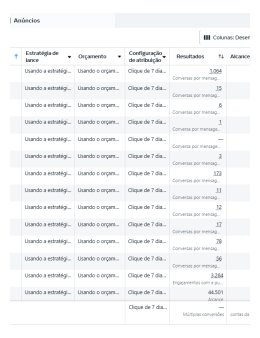 Eu vou gerir seu tráfego pago