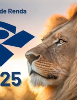 Eu vou FZ SUA DECLARAÇÃO DE IMPOSTO DE RENDA