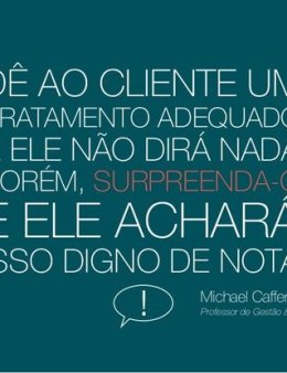 Eu vou atender os seus clientes no whatsapp