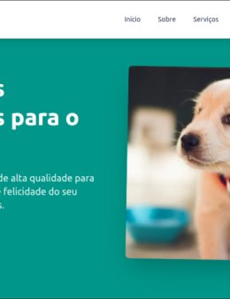 Eu vou criar landing pages