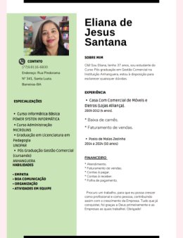 Eu vou atender os seus clientes no whatsapp