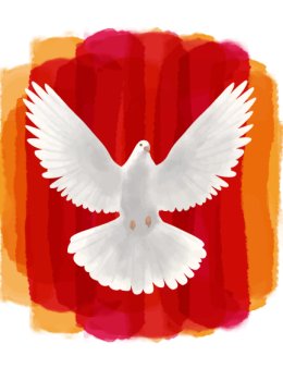 Qual sua dúvida sobre a vida?