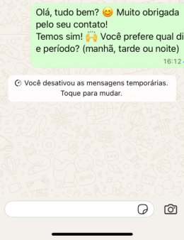 Eu vou atender os seus clientes no WhatsApp.