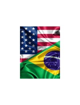 Eu posso traduzir pra você só você pedir