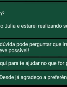 Eu vou atender os seus clientes no Whatsapp