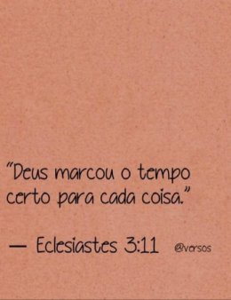 Eu vou ser sua assistente virtual