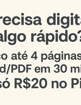Eu vou transcrever o que quiser para word/pdf