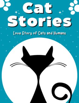 Eu vou Manutenção & Criação de Perfil