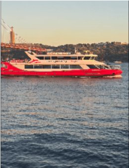 Eu vou atender os seus clientes no WhatsApp