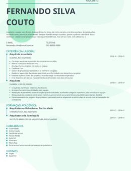 Eu vou criar seu currículo profissional