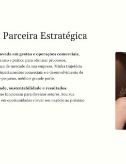 Eu vou criar seu site.