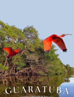 Eu vou criar sua logo!