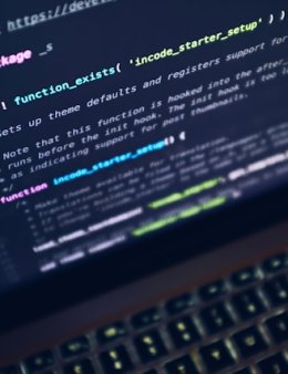 Eu vou desenvolver seu site profissional