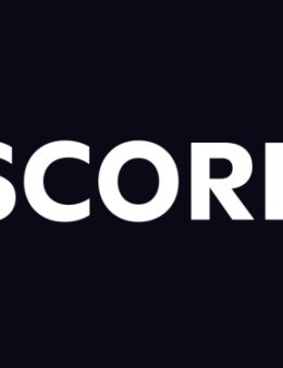 Eu vou criar um bot para seu servidor no discord.