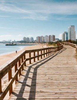 Eu vou te oferecer um roteiro de viagem