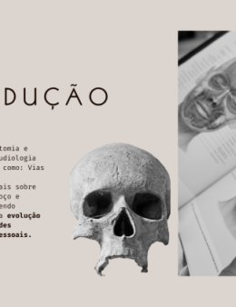 Eu vou criar seu Portfólio Profissional/Acadêmico