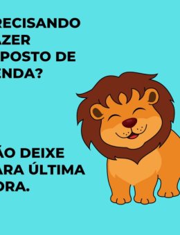 Eu vou fazer seu imposto de renda