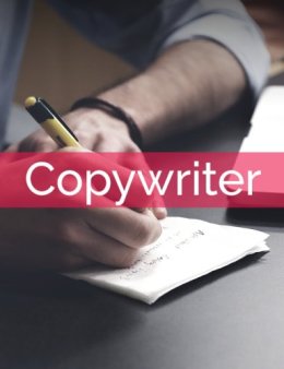 Eu vou ser o redator da sua página de vendas