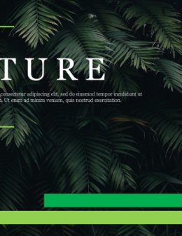 Eu vou preparar seus slides