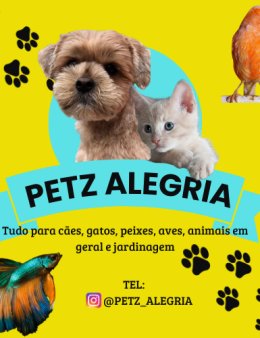 Eu vou fazer seus logos, posts, poemas, legen